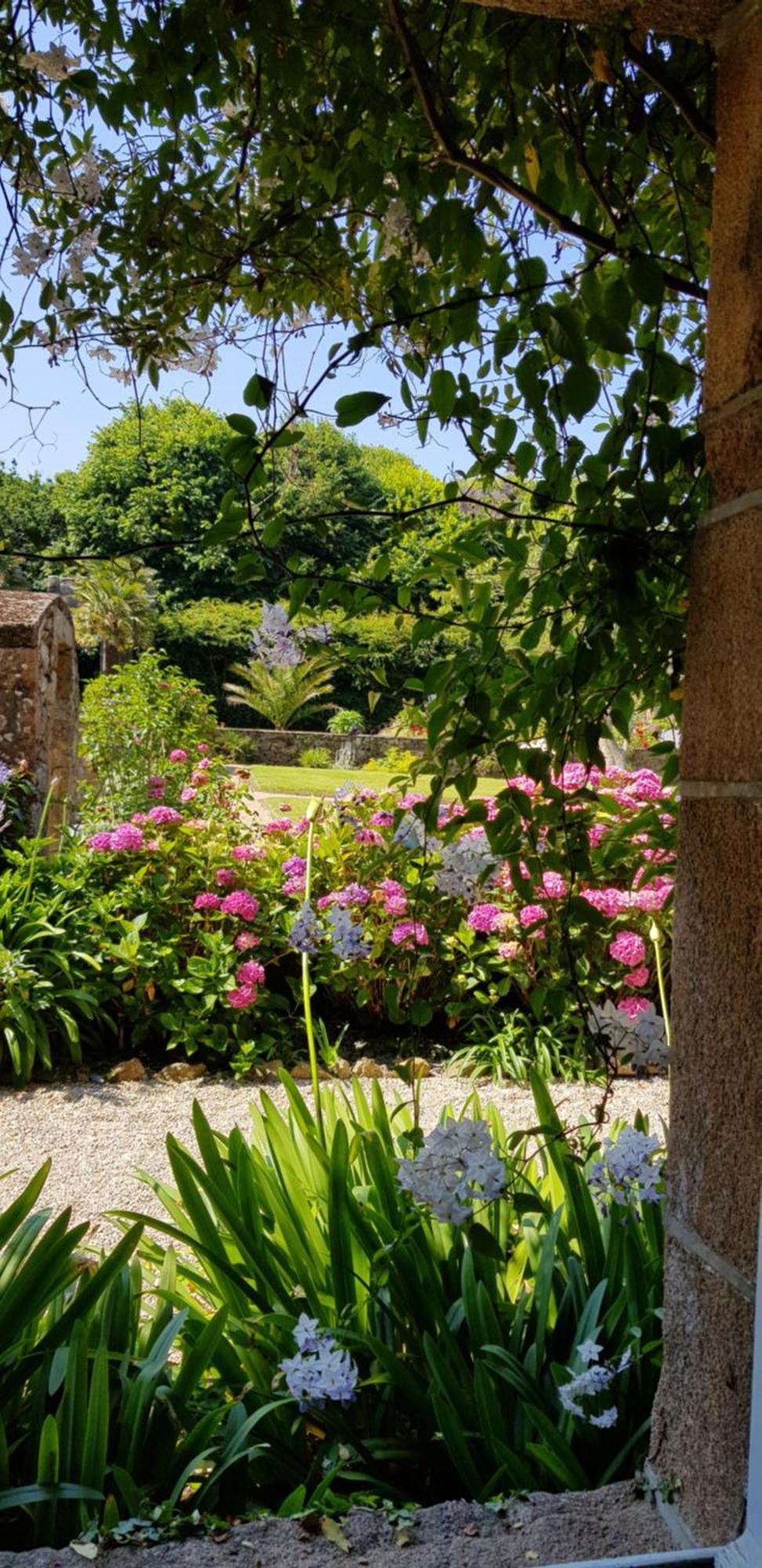 Affittacamere Manoir De Keringant Saint-Quay-Perros Esterno foto